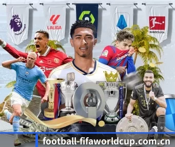 football-fifaworldcup.com.cn APP